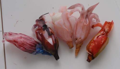 Hohle Blüten mit Rosenquarzfimo, Alkoholtine und Glasmalfarbe. Eine Anleitung von Tumana